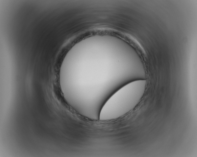 X0000114540823200910190929