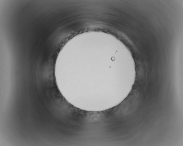 X0000114540824200910190929