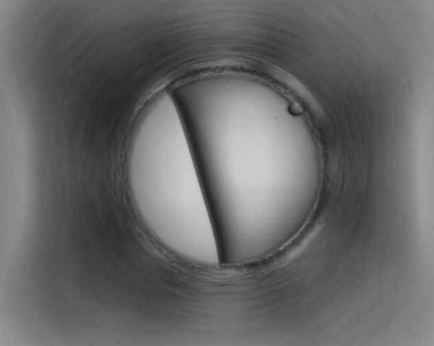 X0000114540826200910190929