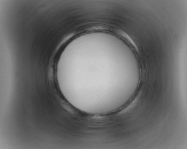 X0000114540827200910190929
