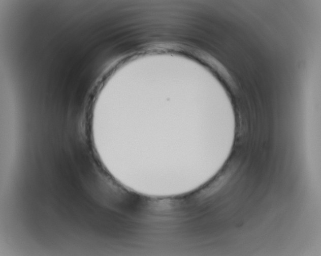 X0000114540828200910190929