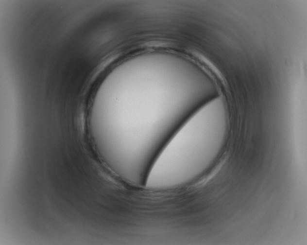 X0000114540829200910190929