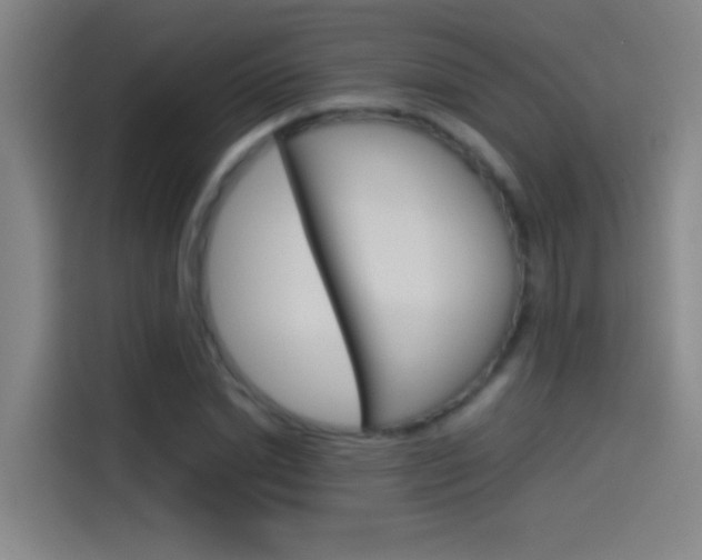 X0000114540830200910190929