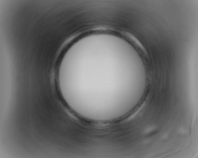 X0000114540831200910190929