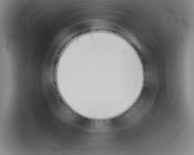 X0000114540832200910190929