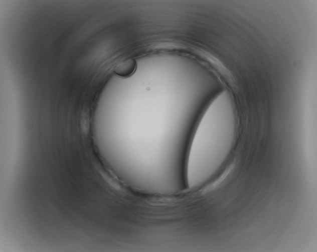 X0000114540833200910190929
