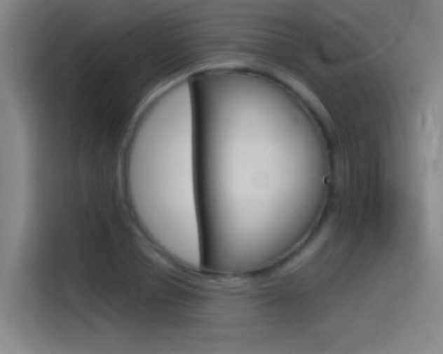 X0000114540834200910190929
