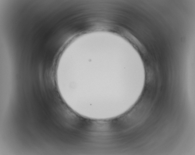 X0000114540836200910190929