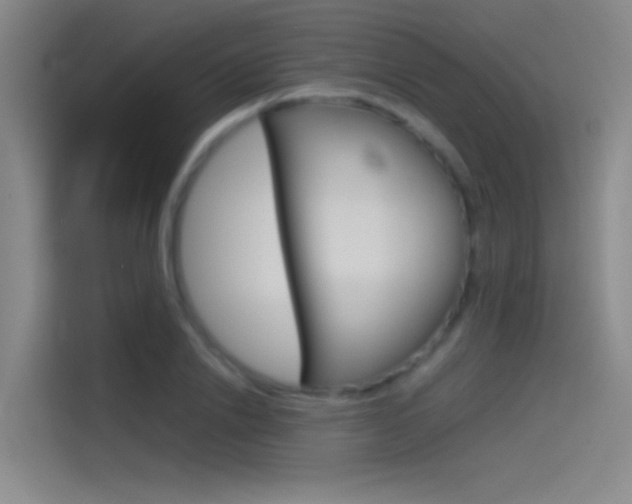 X0000114540838200910190929