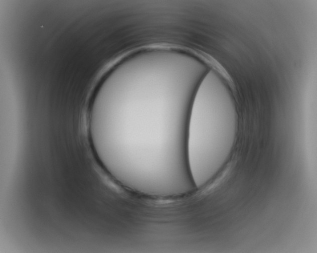 X0000114540839200910190930