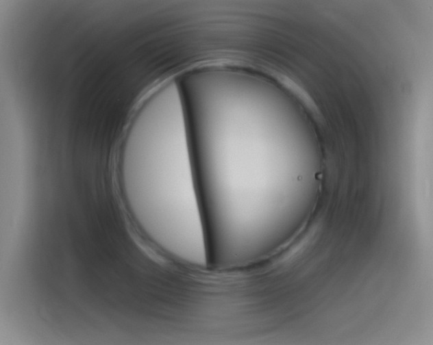 X0000114540842200910190930