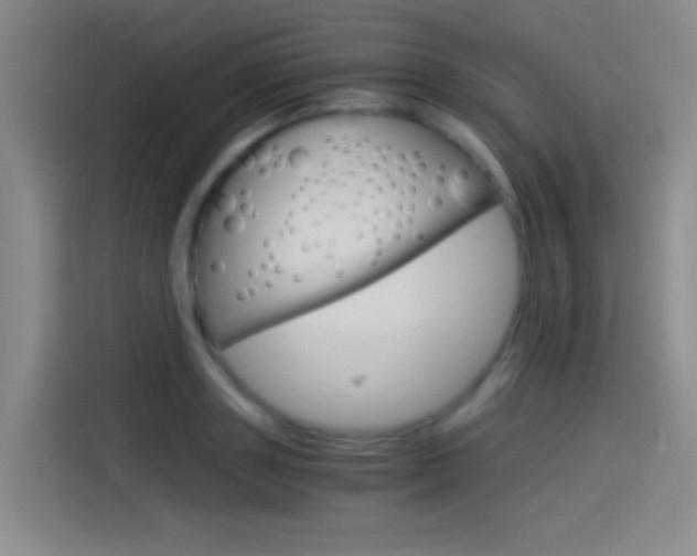 X0000114540843200910190930
