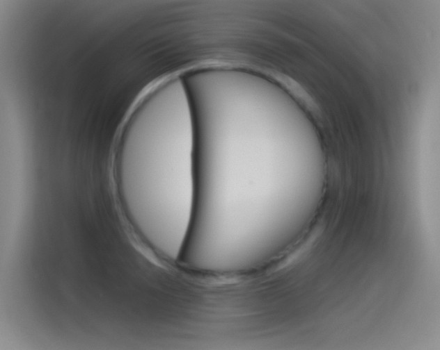 X0000114540846200910190930