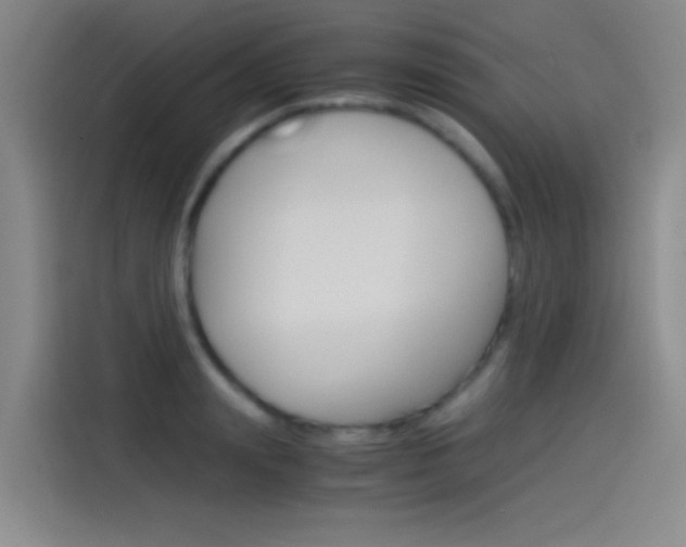 X0000114540847200910190930