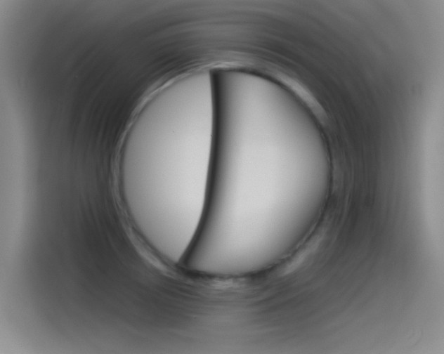 X0000114540850200910190930