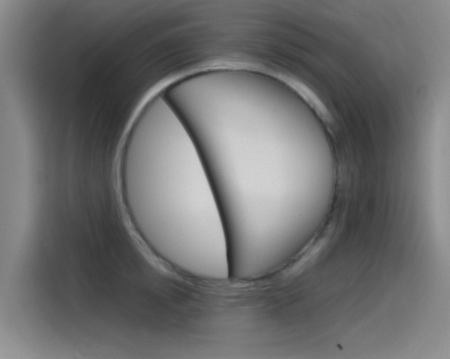 X0000114540854200910190930