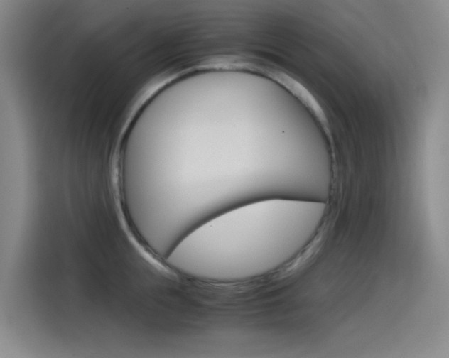 X0000114540855200910190930