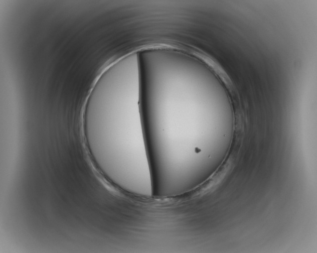 X0000114540858200910190930