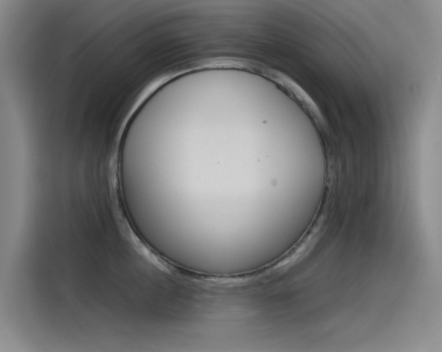X0000114540860200910190930