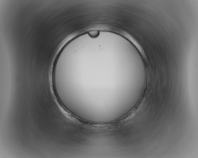 X0000114540861200910190930