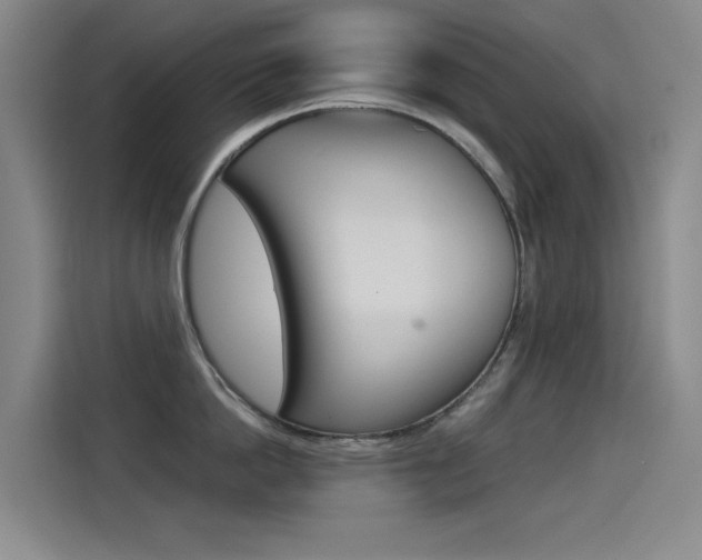 X0000114540862200910190930