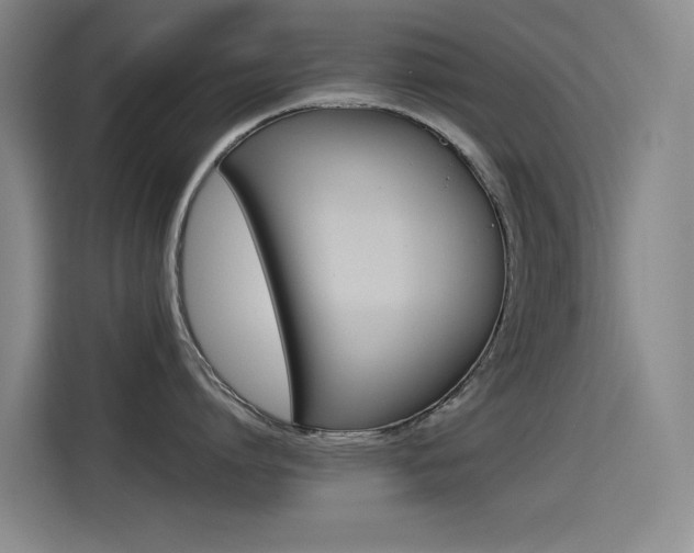 X0000114540864200910190930
