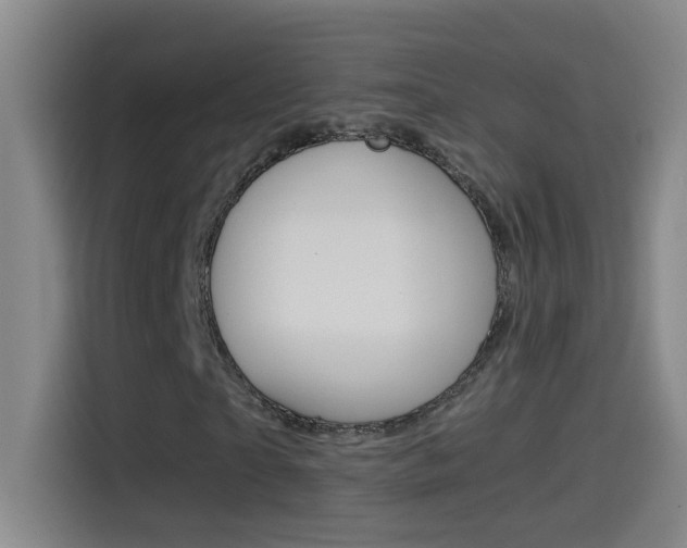 X0000114540865200910190929