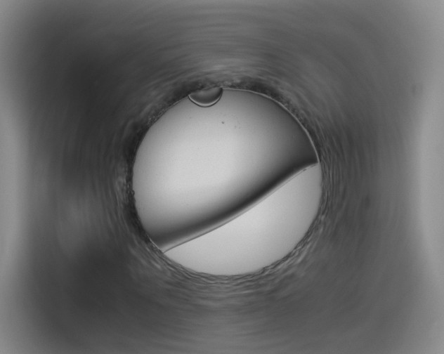 X0000114540867200910190929