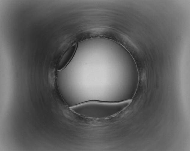 X0000114540868200910190929