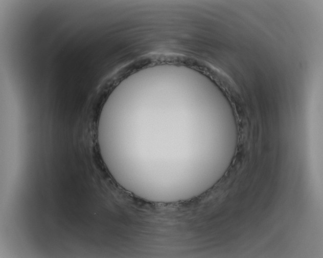 X0000114540870200910190929