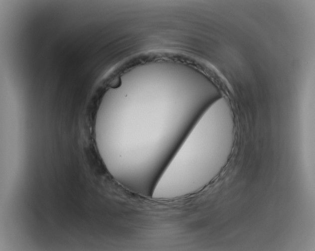 X0000114540871200910190929