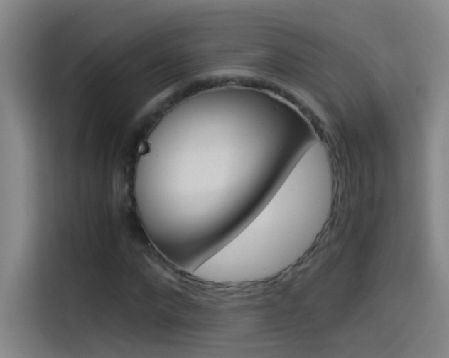 X0000114540872200910190929