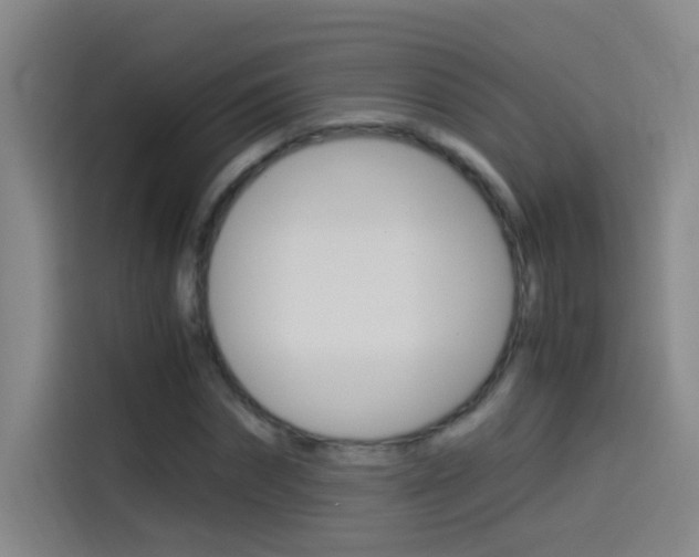 X0000114540874200910190929