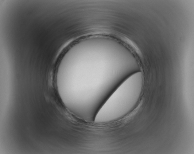 X0000114540875200910190929