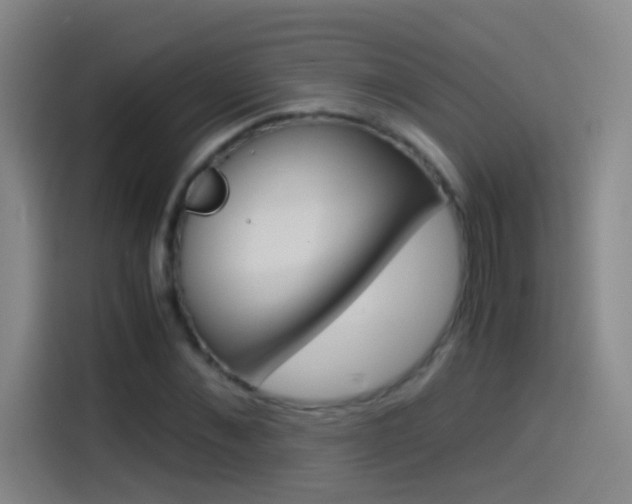 X0000114540876200910190929