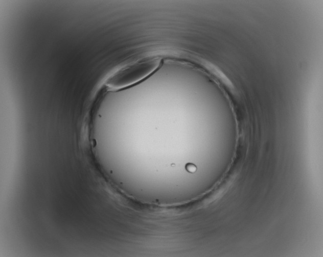 X0000114540877200910190929