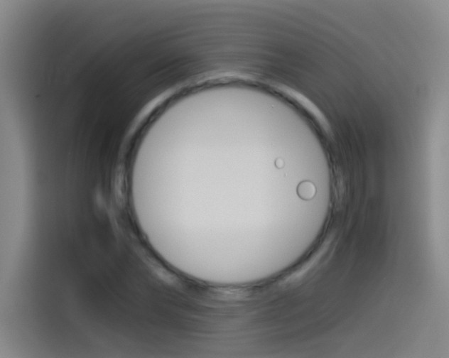 X0000114540878200910190929