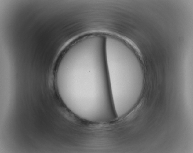 X0000114540879200910190929