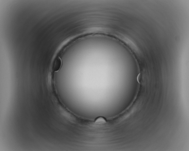 X0000114540880200910190929