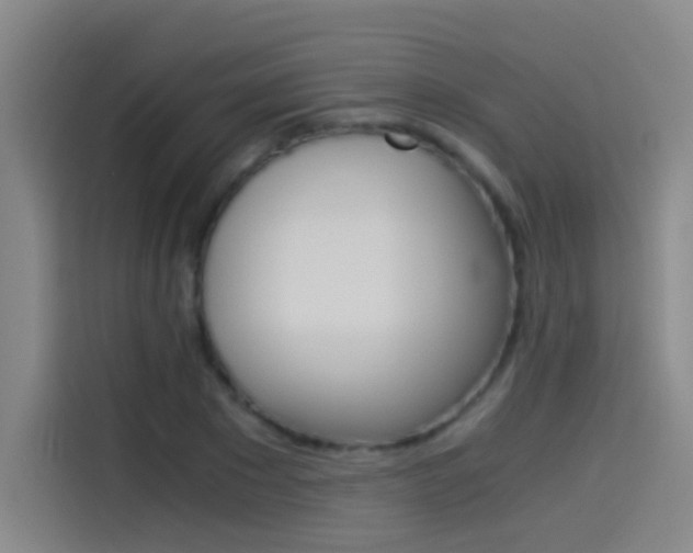X0000114540881200910190929