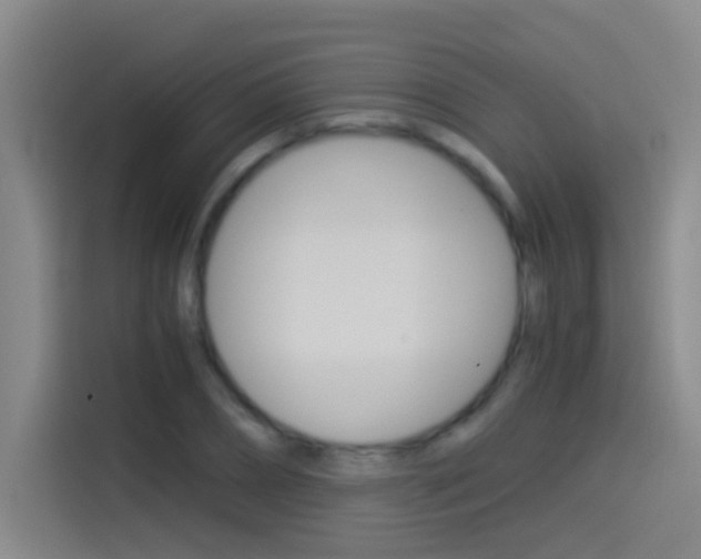 X0000114540882200910190929