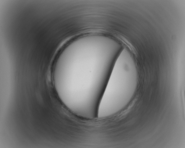 X0000114540883200910190929