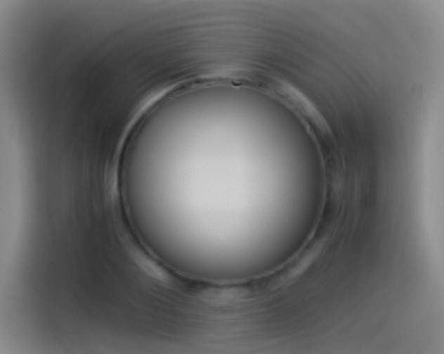 X0000114540884200910190929