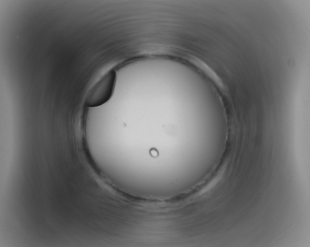 X0000114540885200910190929