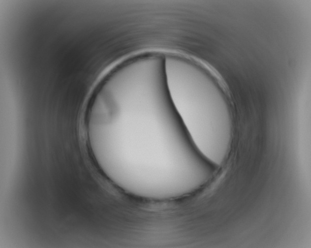 X0000114540887200910190929