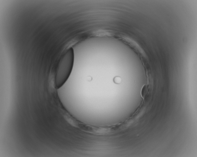 X0000114540889200910190929