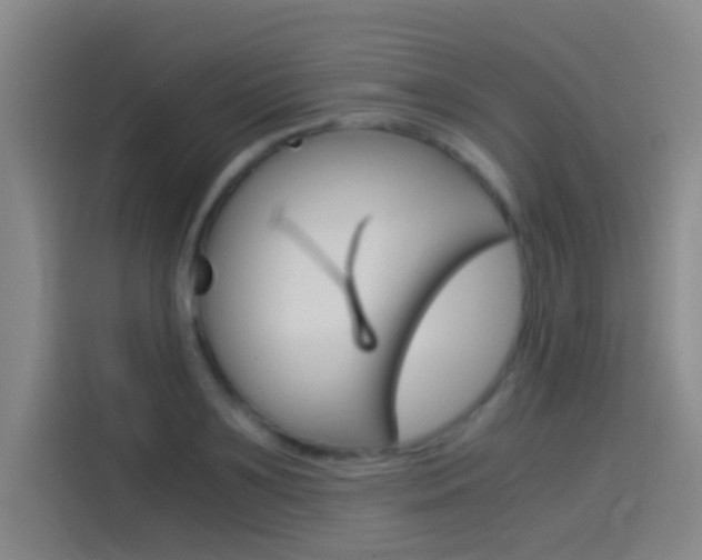 X0000114540891200910190929