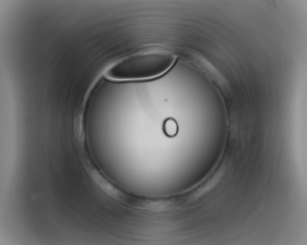 X0000114540892200910190929