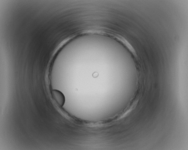 X0000114540893200910190929