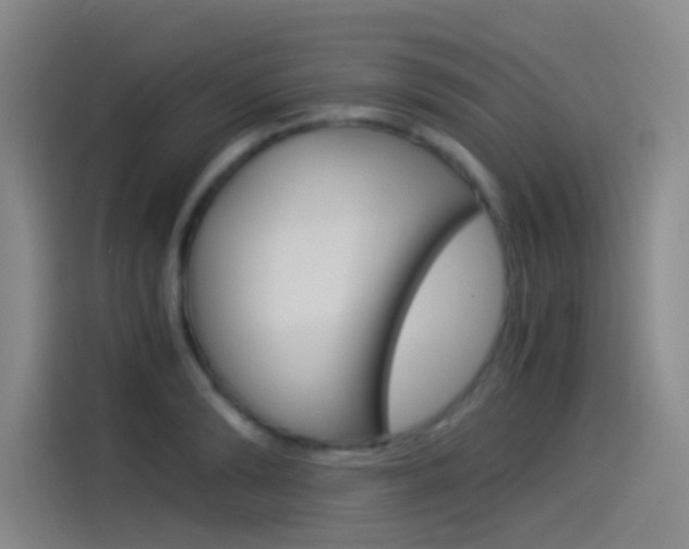 X0000114540894200910190929